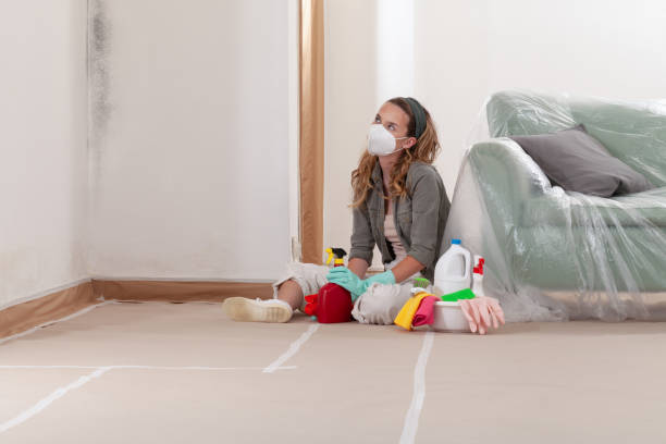 Reliable Mold Remediation contractor in Belmont, MA by Mold Remediation HQ